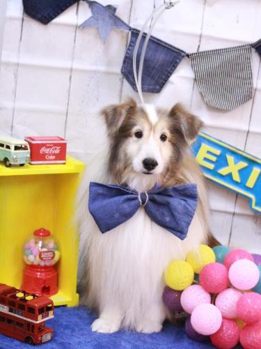 20230412カレンちゃん